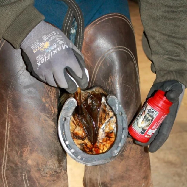 Kevin Bacon’s Hoof Solution 150g