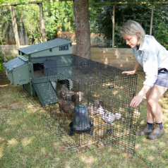 "Run for Aspen" enclosure "Run for Aspen" enclosure