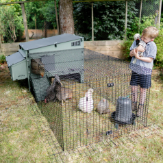 "Run for Aspen" enclosure "Run for Aspen" enclosure