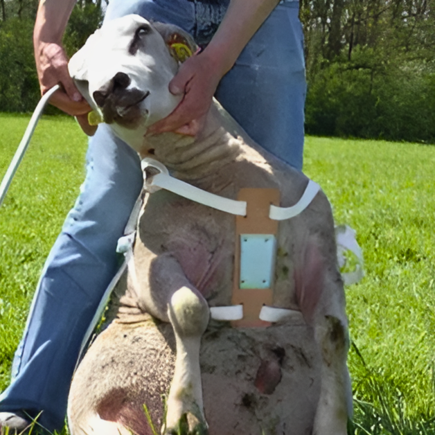 Marker block harness for ram