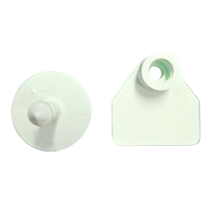 Plain Minitag identification loops for sheep