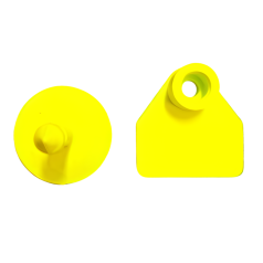 Plain Minitag identification loops for sheep