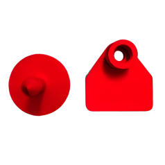 Boucles d'identification Minitag nue pour mouton