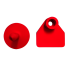 Identificatie-oormerk voor schaap : Kleur:Rood