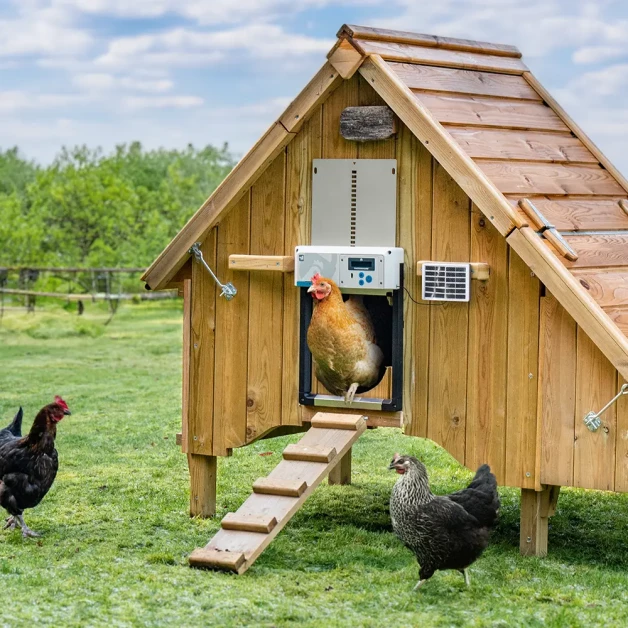 Portier automatique ChickenGuard All-in-One
