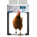 Automatic Door Opener ChickenGuard All-in-One