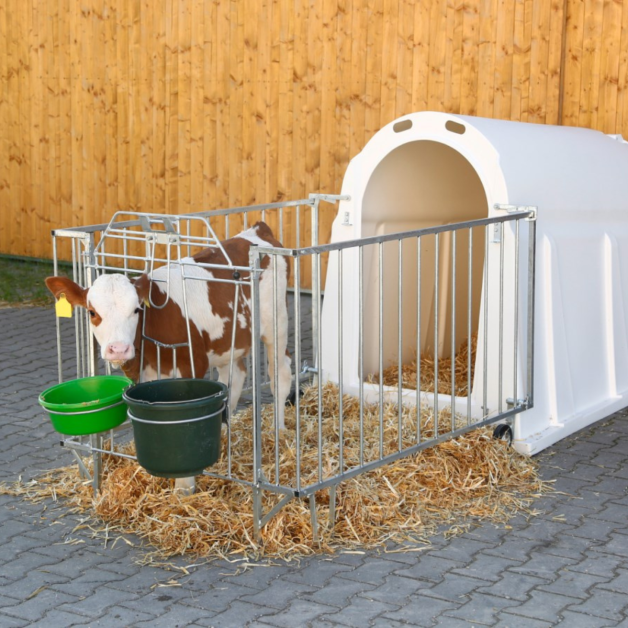 Niche à veaux PE UV+ avec enclos lourd