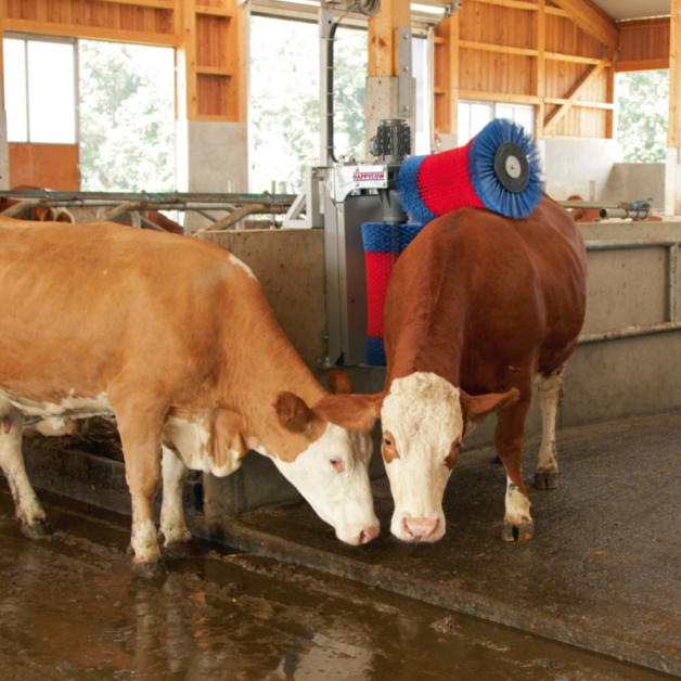 Brosses à vaches HAPPYCOW