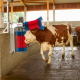 Brosses à vaches HAPPYCOW