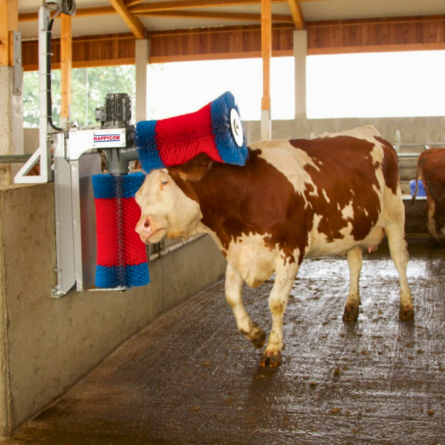 Koeienborstels HAPPYCOW Koeienborstels HAPPYCOW