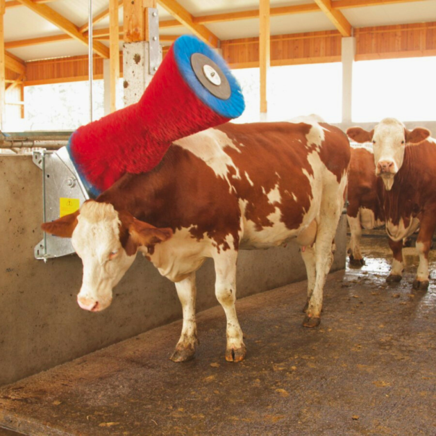 Brosses à vaches HAPPYCOW