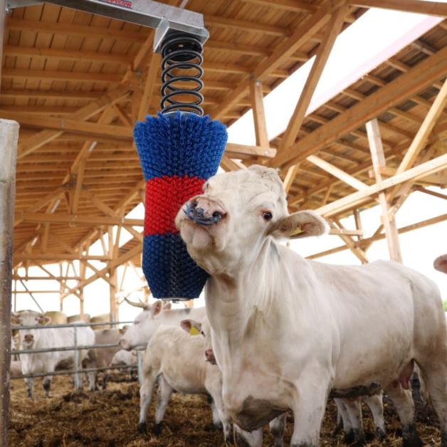 HAPPYCOW FlexiSwing cow brush HAPPYCOW FlexiSwing cow brush