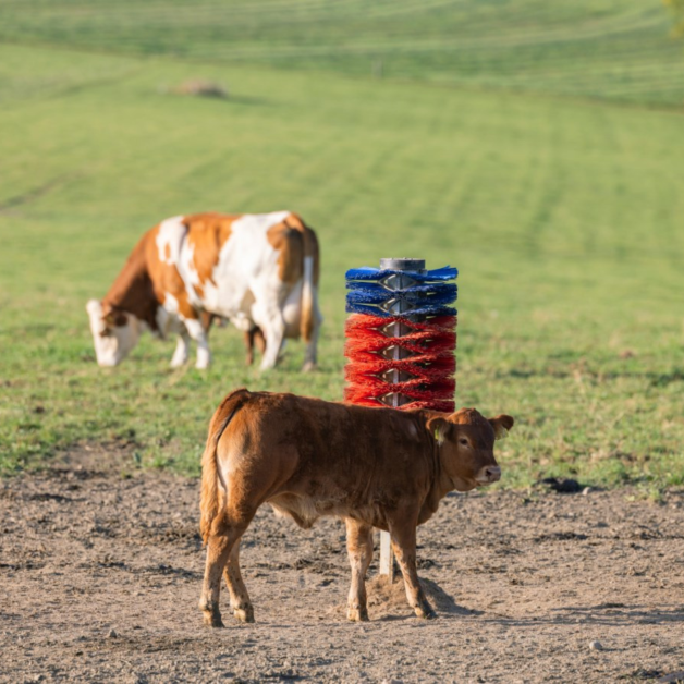 Brosse sur poteau HAPPYCOW Maxi