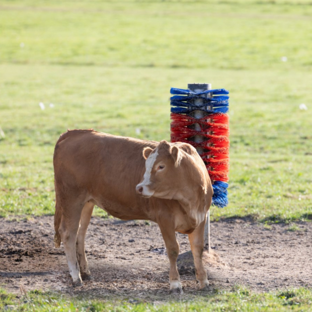 HAPPYCOW Maxi paalborstel HAPPYCOW Maxi paalborstel