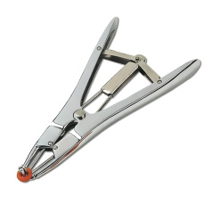 Het couperen van de staarten van foklammeren. Het couperen van de staarten van foklammeren.