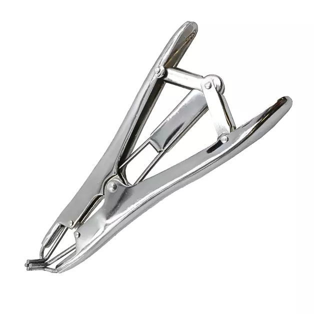 Equeutage des agneaux d’élevage. Equeutage des agneaux d’élevage.