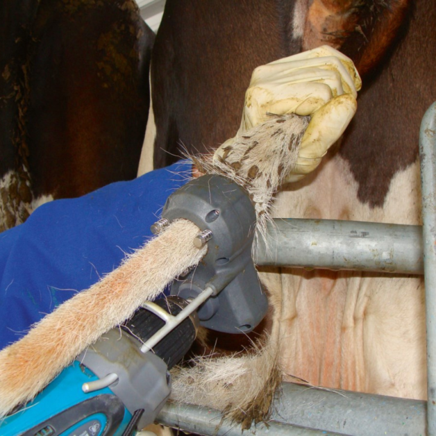Tondeuse pour queues de vaches TailWell