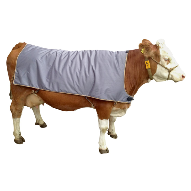 Couverture pour vache