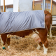 Couverture pour vache