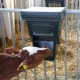 Calf feeder Calf feeder