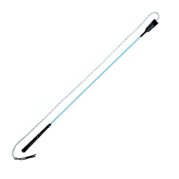 Stick éthologique