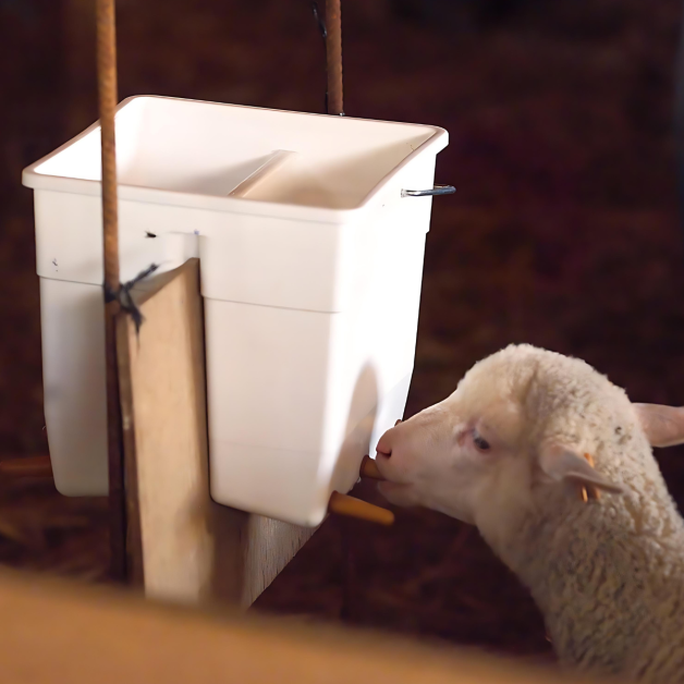 Emmer met meerdere flessen en accessoires Emmer met meerdere flessen en accessoires