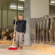 Outil Mini Fermiers Outil Mini Fermiers
