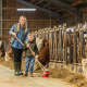 Outil Mini Fermiers Outil Mini Fermiers