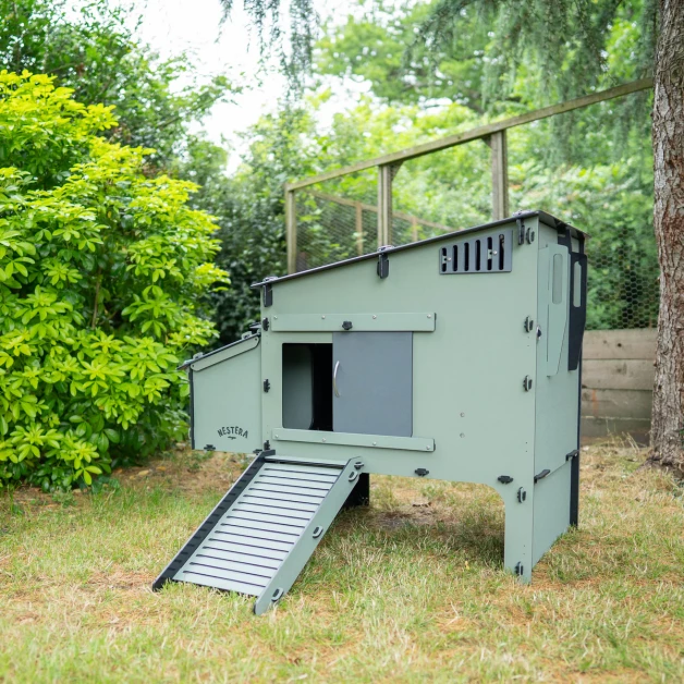 Nestera Aspen Chicken Coop Nestera Aspen Chicken Coop