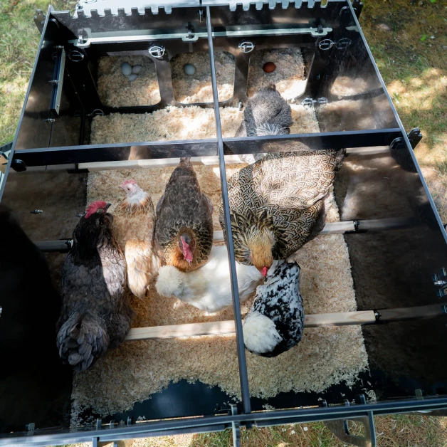 Nestera Aspen Chicken Coop Nestera Aspen Chicken Coop