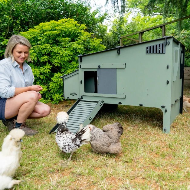 Nestera Aspen Chicken Coop Nestera Aspen Chicken Coop