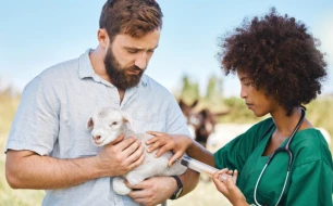 Enkele tips om uw schapen goed te ontwormen