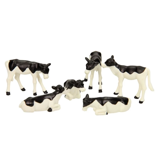 Vaches et veaux Holstein