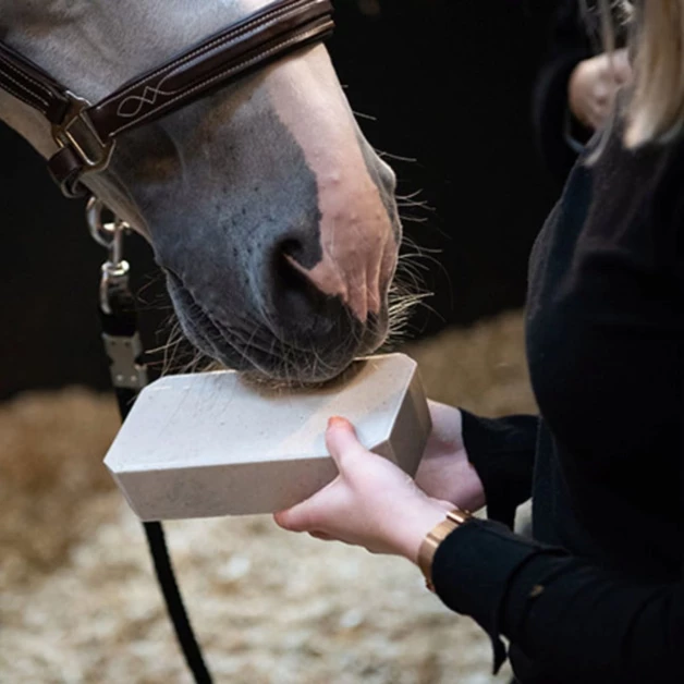 Brique de sel 2 kg enrichie en minéraux