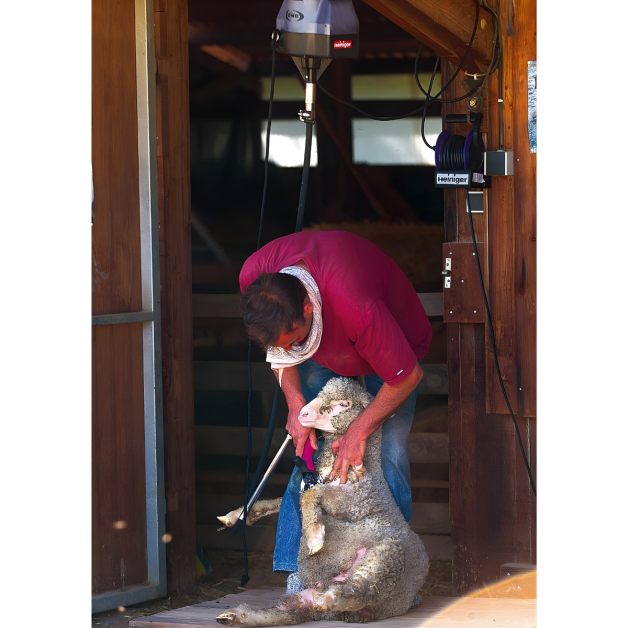 Professional suspended clipper Heiniger One 300 W