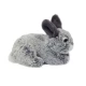 Peluche « PIA » lapin