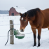 Avoid your water troughs from freezing in winter with heated waterers and heating cables.