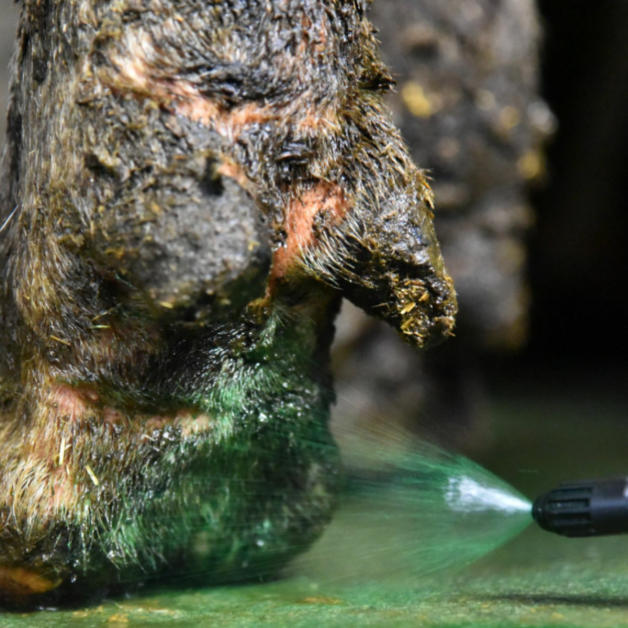 Intra Hoof-fit RTU om te sprayen 10 liter