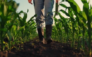 Why choose neoprene boots for working outdoors or in the agricultural sector during winter?