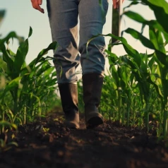 Why choose neoprene boots for working outdoors or in the agricultural sector during winter?