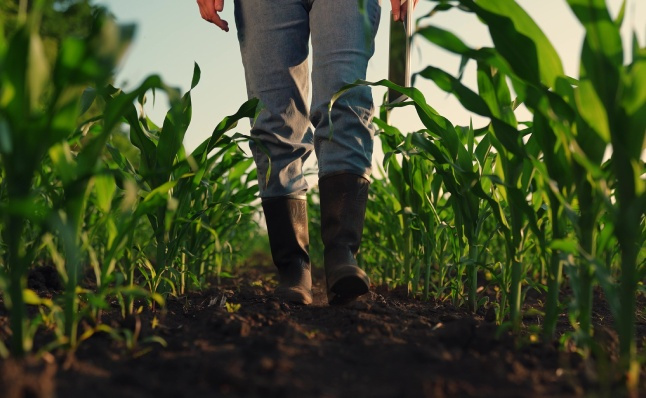 Bottes de Travail d'Été | Antidérapantes | Shoes For Crews Europe