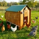 High-quality HPL chicken coop, red mite resistant