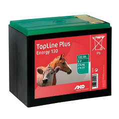 Pile pour Électrificateur