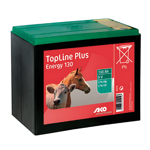 Pile pour Électrificateur