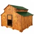 HPL Chicken Coop : Capacity:20 to 25 hens