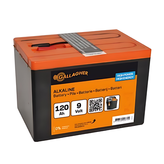 Batterij voor Elektroshockapparaat