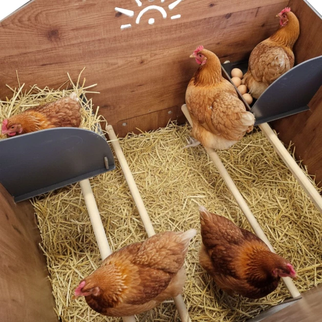 HPL Farm XXL and Evolution Chicken Coop