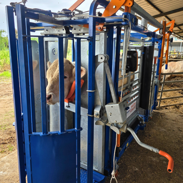 Option cage de contention Andrieu