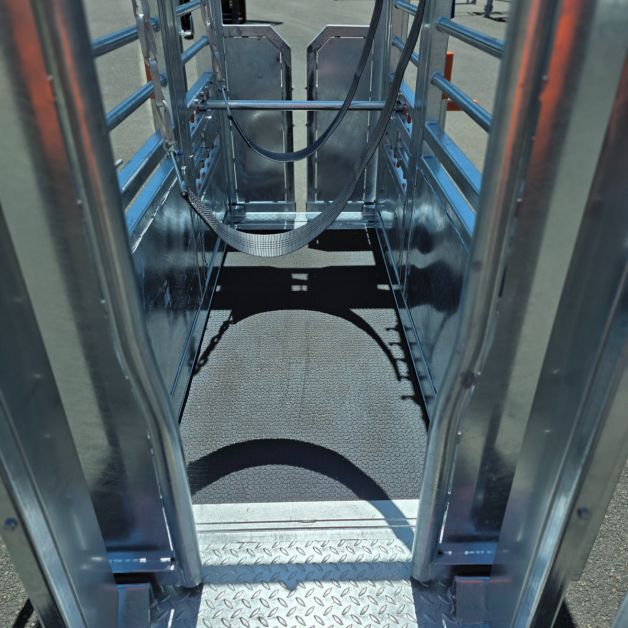 Andrieu MASTER CARE restraint cage