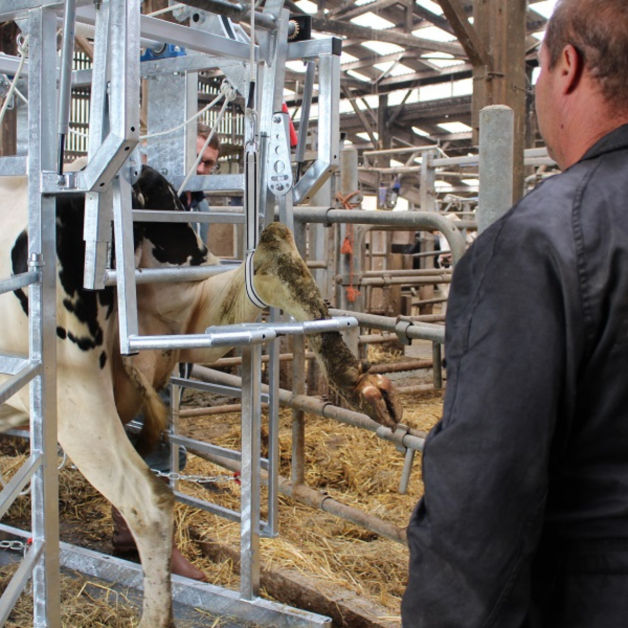 Verzorgingskooi Maréchalle PM4300